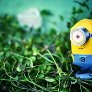 Mô hình giấy Minions Dave và Stuart [Despicable Me]