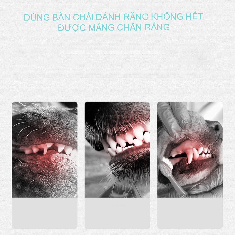 XỊT THƠM MIỆNG CHO CHÓ MÈO BORAMMY ORAL SPRAY khử mùi hôi răng miệng mảng bám-100ML