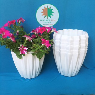 10c Chậu Kim Cương 25x22cm cạnh khế (Trắng) – Chậu nhựa kim cương nhiều cạnh, trồng hoa, cây kiểng trang trí sang trọng