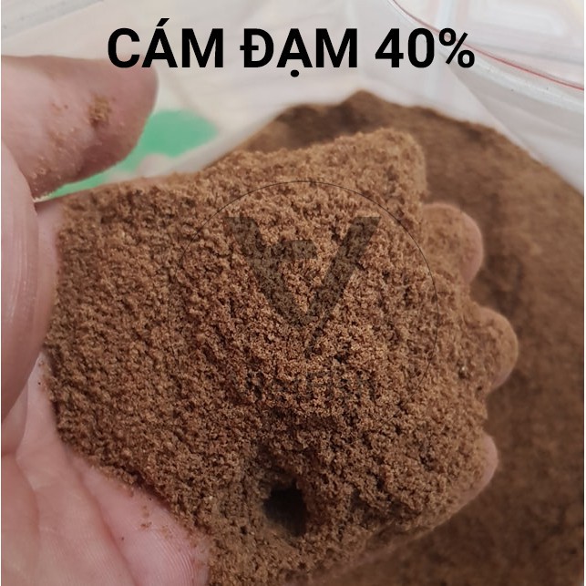 [TÚI 1KG] Cám tanh câu cá, Cám Đạm 20% 30% và 40%