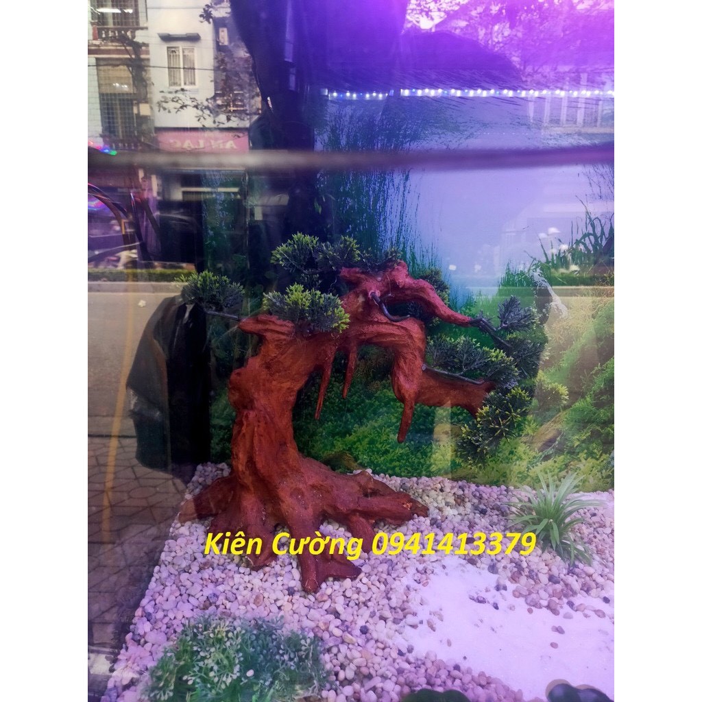 Mẫu tùng rủ có tán giả nhựa cho hồ cá