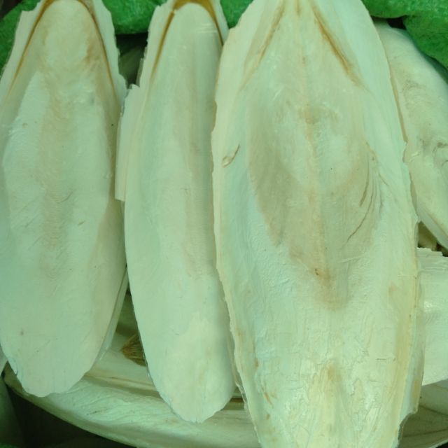 Nang mực mai mực dùng cho chim dùng trong đông y làm sương sâm[100g]