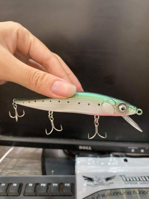 Cá Minnow Sanchem