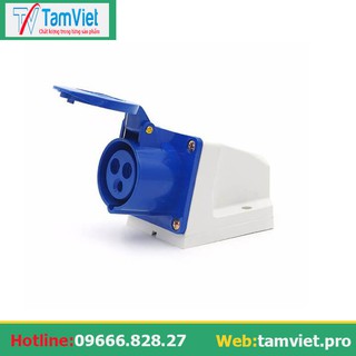 [FLASH SALE] Ổ cắm công nghiệp gắn tường 1 pha 16A 3 chấu (cố định)