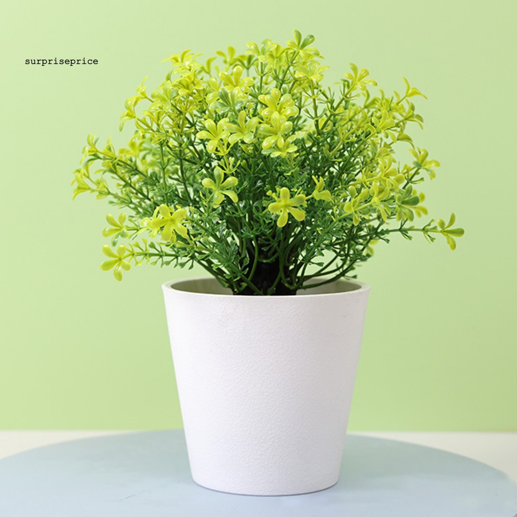 Chậu Cây Bonsai Giả Trang Trí Nhà Cửa