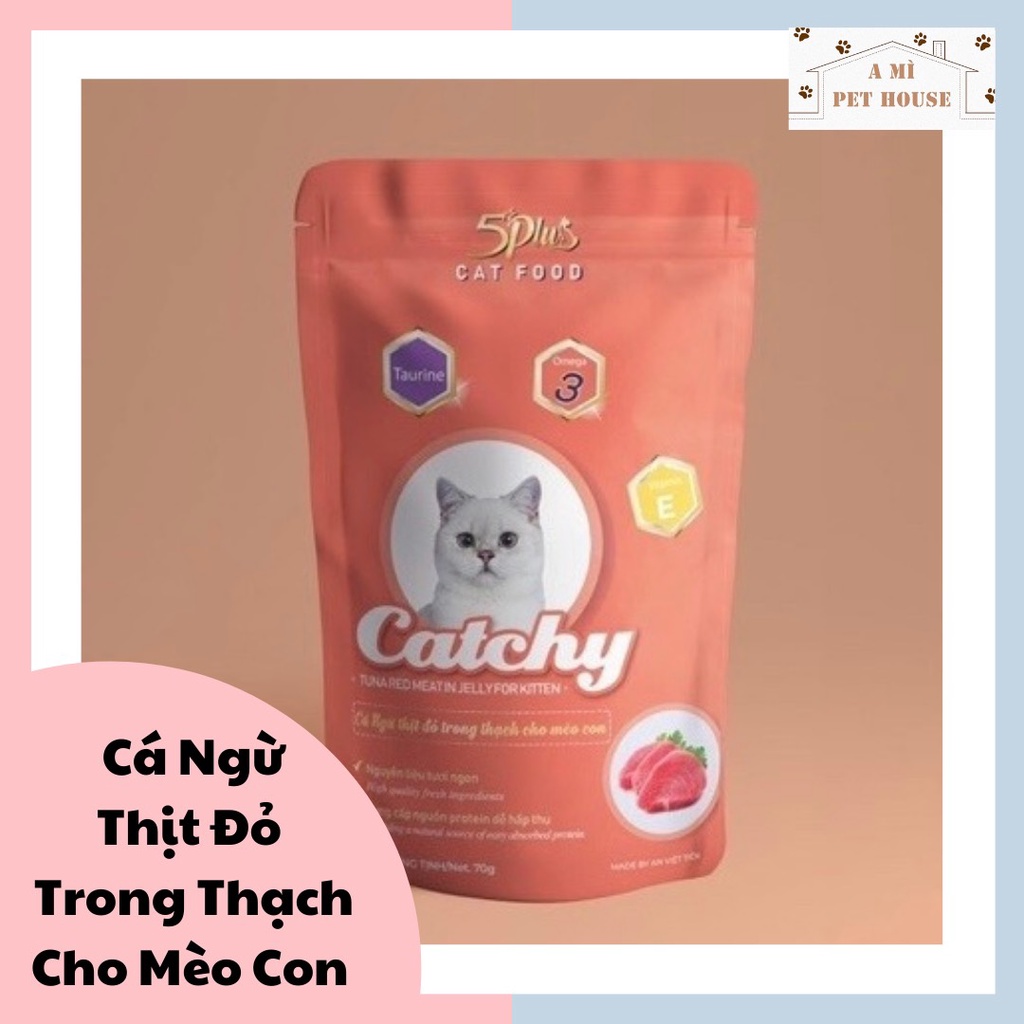 Pate 5PLUS CATCHY cho mèo gói 70g | thức ăn ướt cho mèo có 7 vị đa dạng