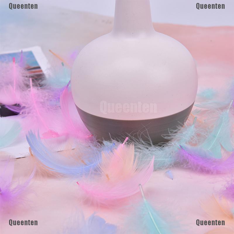 Bộ 100 Lông Vũ Nhiều Màu Sắc Dùng Làm Quà Tặng