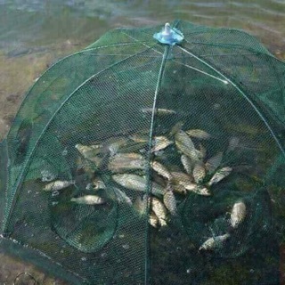 Lưới bát quái