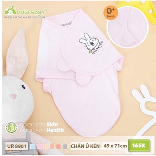 Ủ kén bambo Uala Rogo
