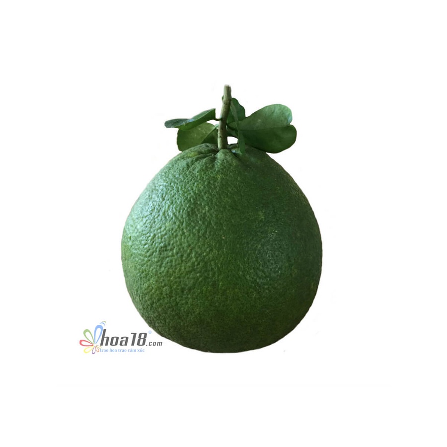Bưởi Da Xanh Loại 1 Tươi (2.5 Kg) - Trái Cây Tươi Hoa18