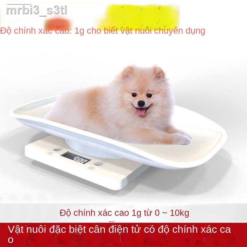 ❈ (Mới về)▤Cân thú cưng, nhỏ, điện tử chuyên dùng cho chó mèo, trẻ em, dụng cưng sơ sinh