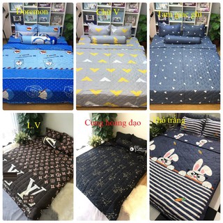 Bộ ga gối poly cotton m6/m8 ( được chọn mẫu)