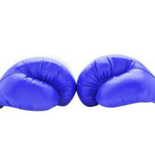 Găng đấm boxing
