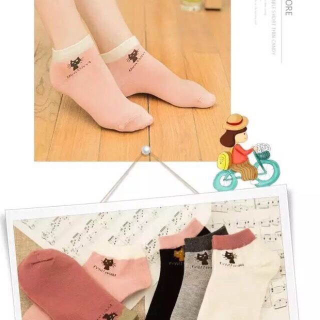 Set 5 đôi tất mèo cổ ngắn xuất Hàn cực xinh cho bạn gái