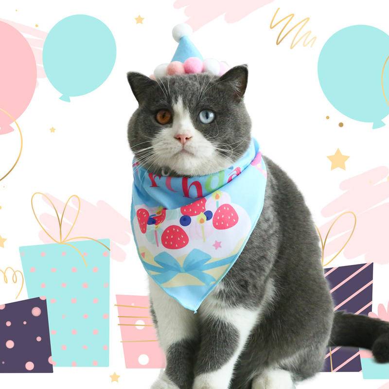 Khăn Choàng Cổ Tam Giác In Họa Tiết Hoạt Hình Cho Thú Cưng