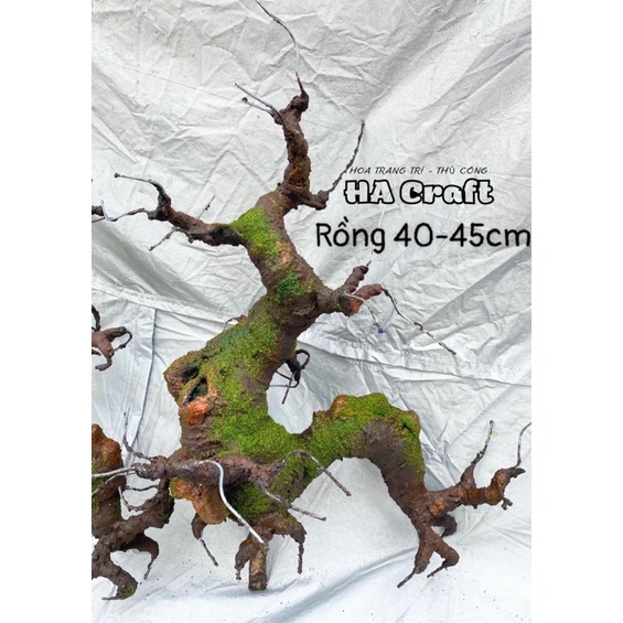 Gốc bonsai Rồng 40cm làm hoa mai đào