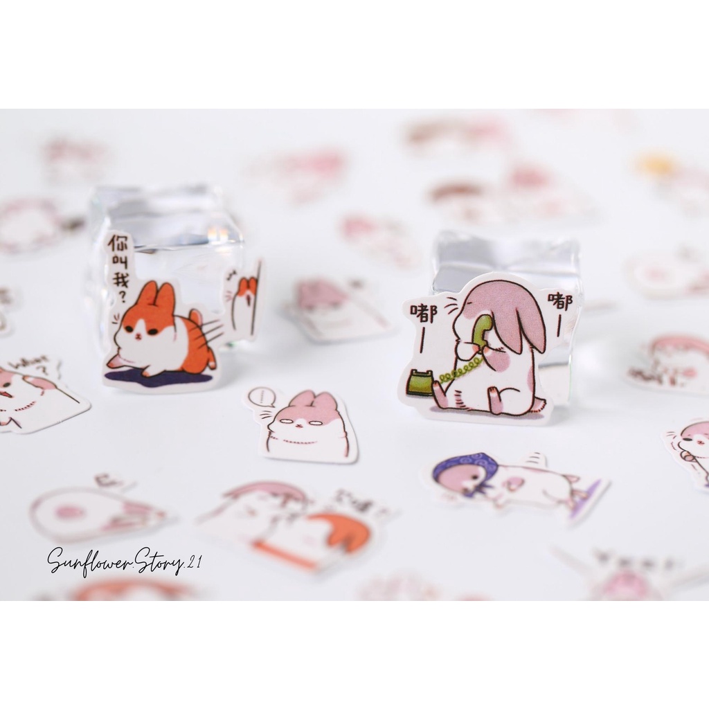 Set 19 miếng sticker dán trang trí hình động vật dễ thương
