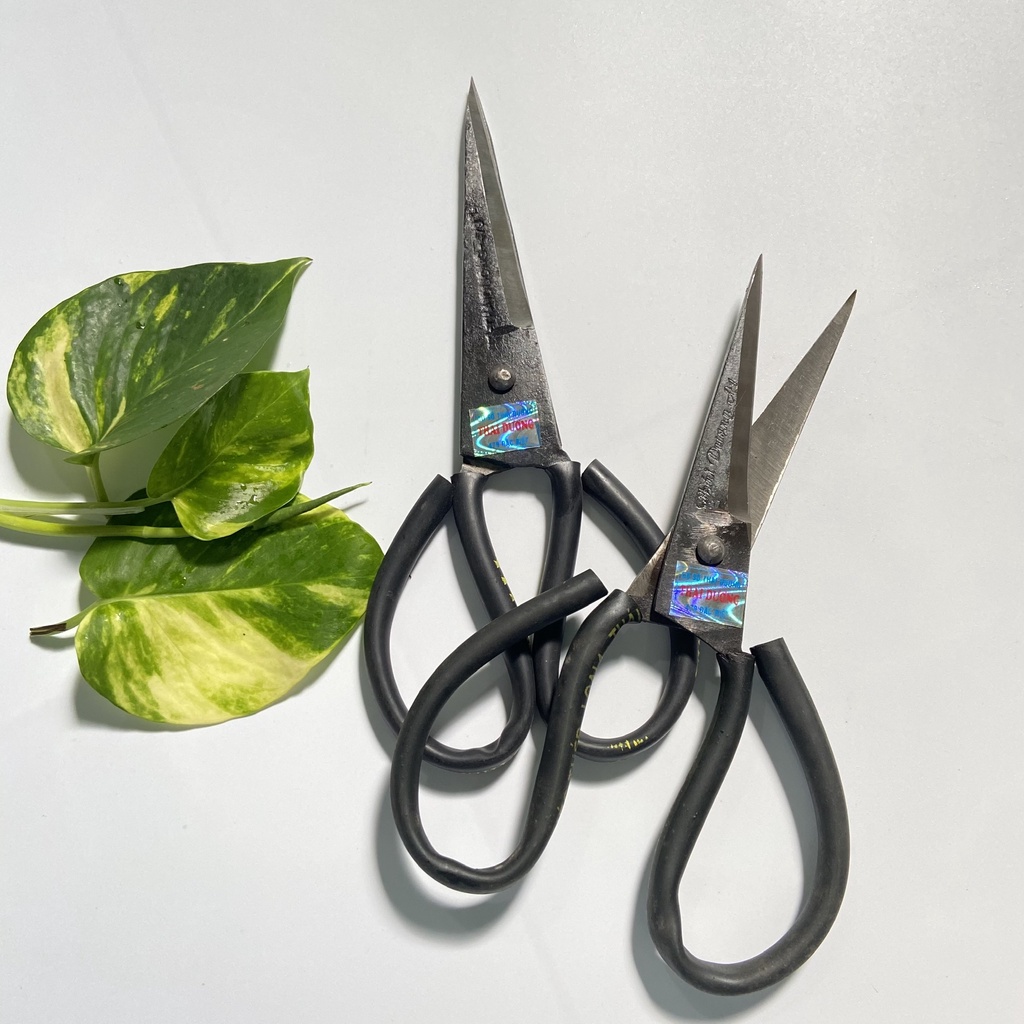 KÉO THÉP NHÍP XE LÀM CÁ, GÀ VỊT,...