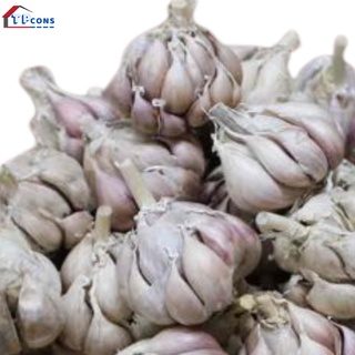 Tỏi trắng Bắc 1kg
