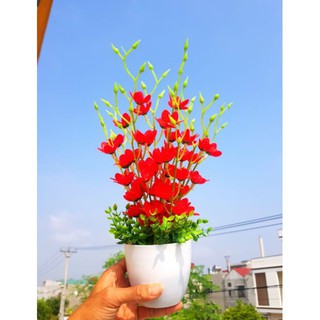 HOA ĐẸP 💖FREESHIP💖Giảm 10K Khi Nhập [PHUOM10K] HOA THỦY TIÊN