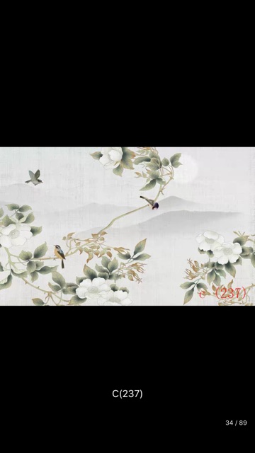 Phông chụp hình cổ trang vải không dệt