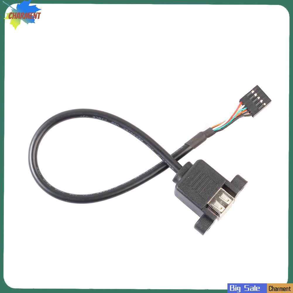 Dây Cáp Chuyển Đổi Đầu 2 Cổng Usb 2.0 9 Pin Cho Máy Tính