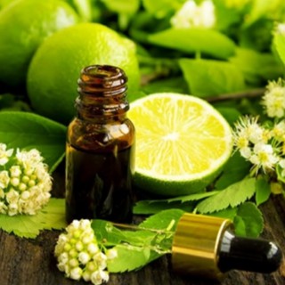 Tinh dầu sả chanh nguyên chất 10ml