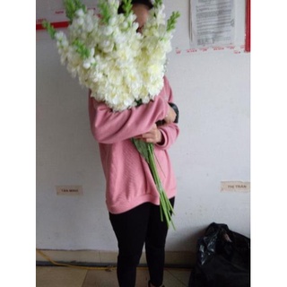 Hoa giả - phi yến 1 nhánh cành 80cm ( để Free ship CHAT ngay với người bán)
