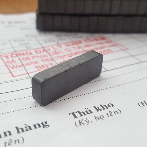 Nam châm Ferrite 30x10x5mm