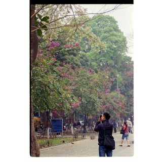 máy scan film epson V500 (GT-X770) mới 98%
