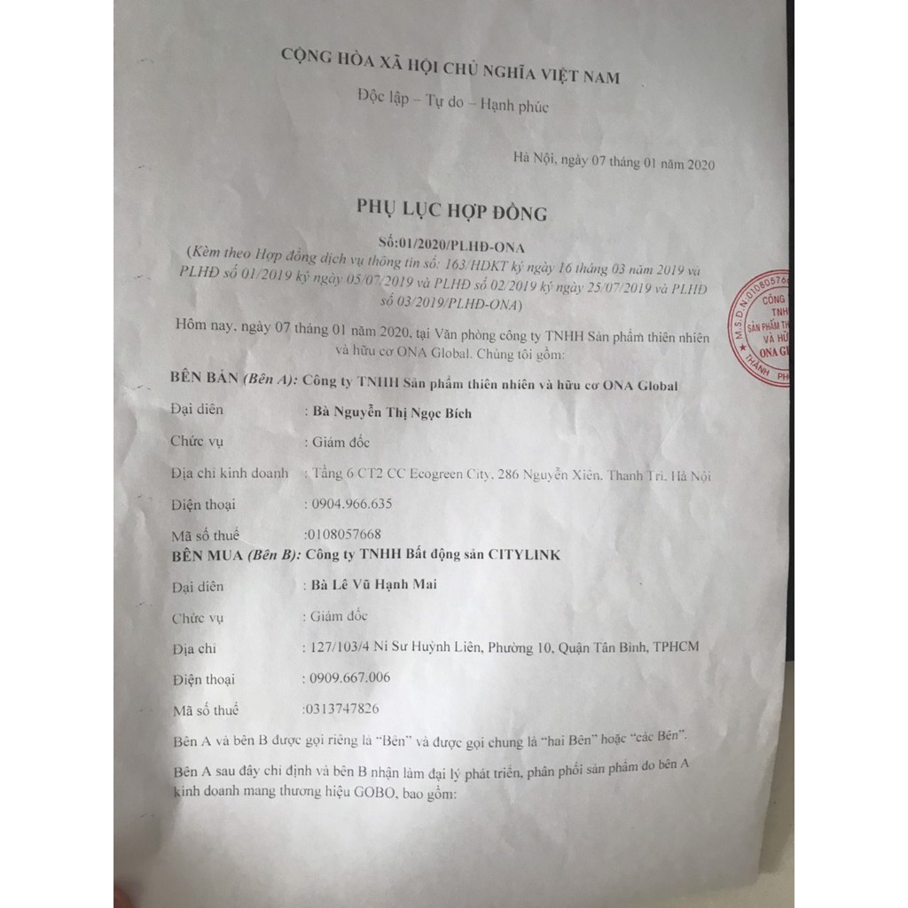 Son GOBO không chì COCAYHOALA #sonthiennhien #an_toàn #lành_tính | BigBuy360 - bigbuy360.vn