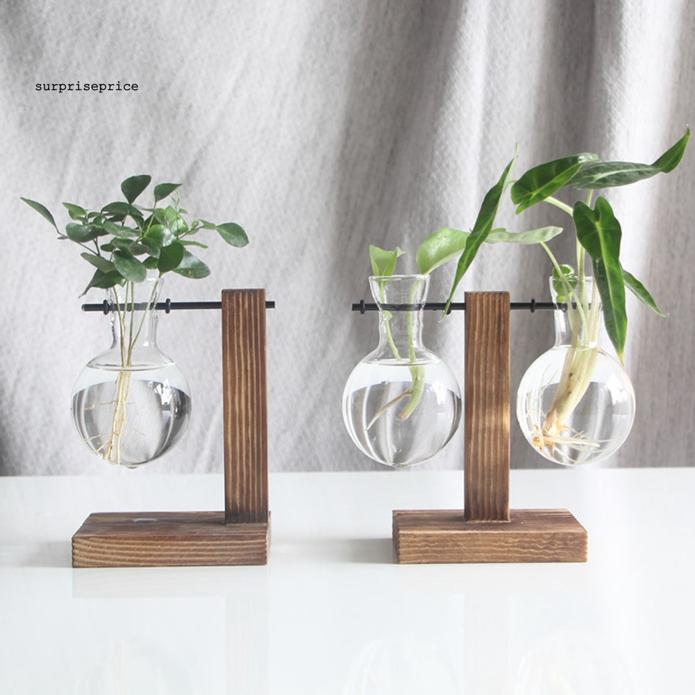 Chậu trồng cây cảnh bằng gỗ độc đáo sáng tạo