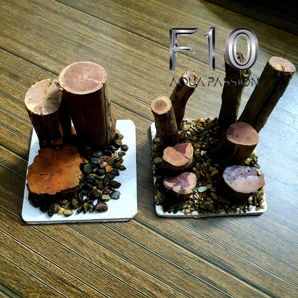 Tiểu cảnh mini trang trị bể cá bể thủy sinh bằng lũa đá