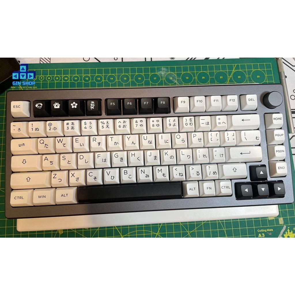 Bộ bàn phím AKKO KEYCAP CHÍNH HÃNG 🔥