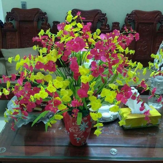 Hoa lan vũ nữ cành