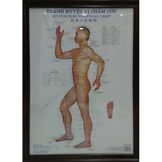 Sách - Tranh châm cứu 3 tờ (3 mặt)