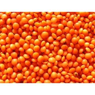 Đậu lăng xanh/đỏ nguyên hạt