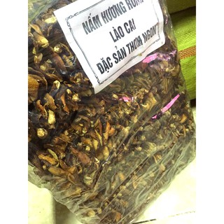 Nấm hương rừng Tây Bắc hàng chuẩn