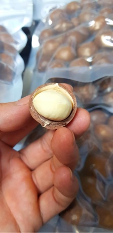 Mắc ca ĐakLak 0,5kg size lớn