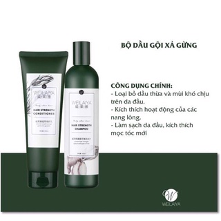 Cặp dầu gội gừng trắng 400ml dầu xả gừng trắng 250ml kích mọc tóc Weilaiya Ginger