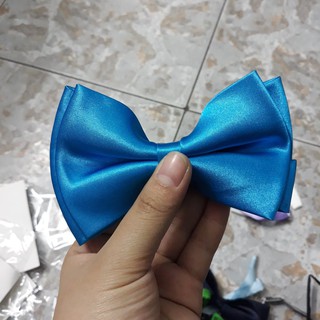 Nơ Mèo cho chú rể