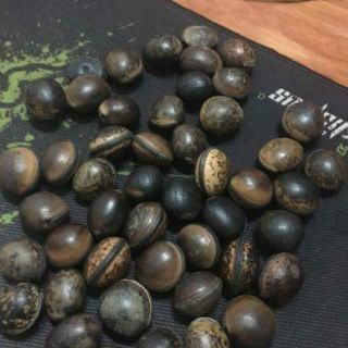 85 Hạt đậu Lào