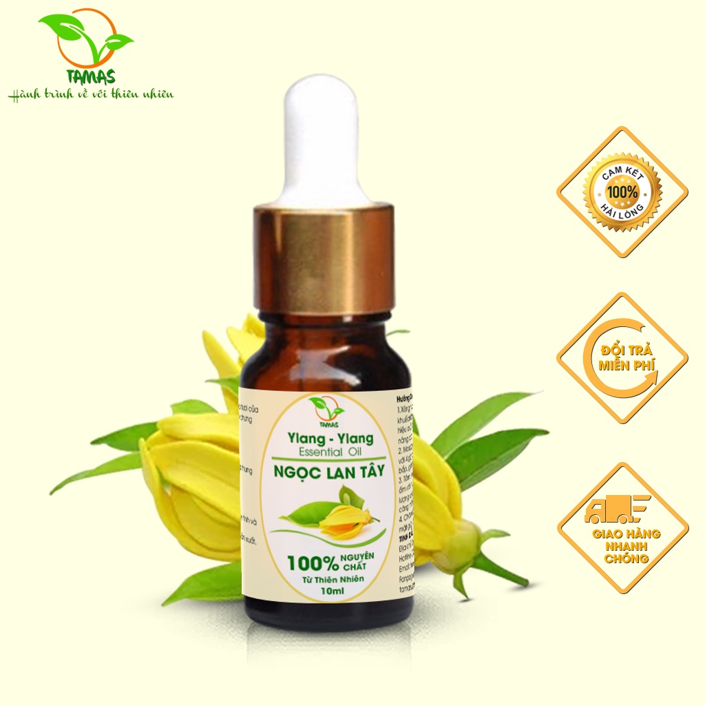 Tinh dầu Ngọc Lan Tây nguyên chất chai 10ml, thơm phòng, khử mùi, thanh lọc không khí.