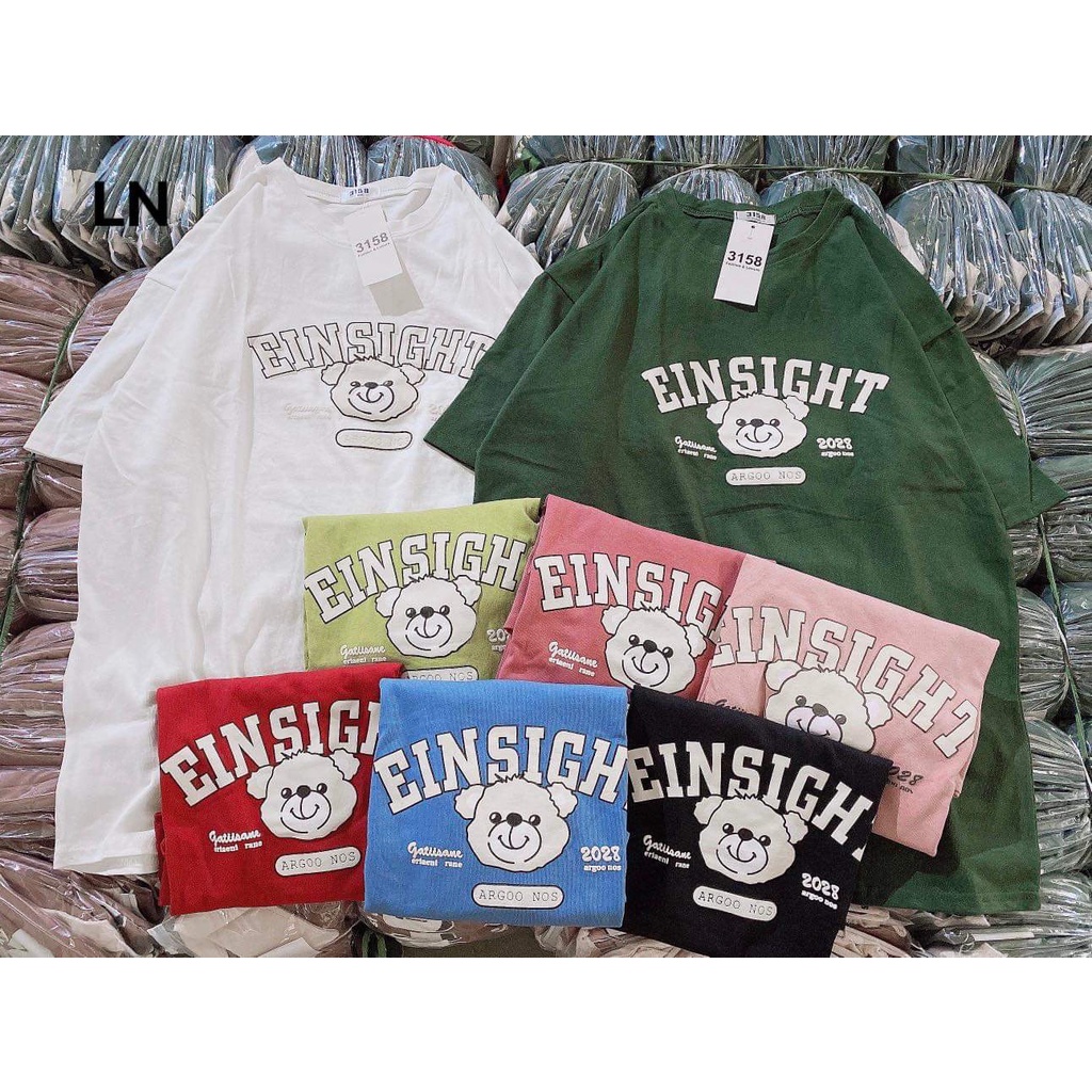 Áo phông gấu einsight chất cotton khô 5L8N