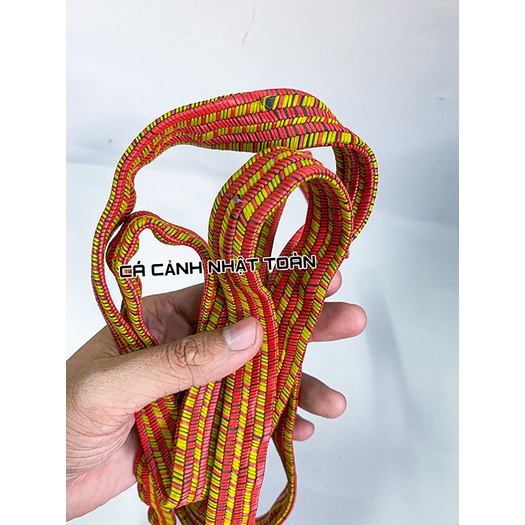 Dây ràng (dây chun) cột hàng 1m2