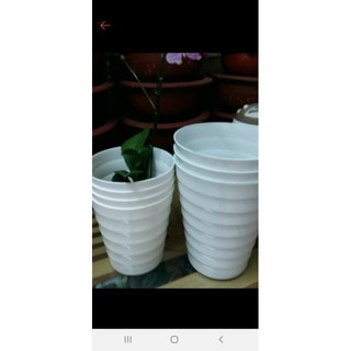 10 cái chậu vân sóng phi 20cm cao 22cm