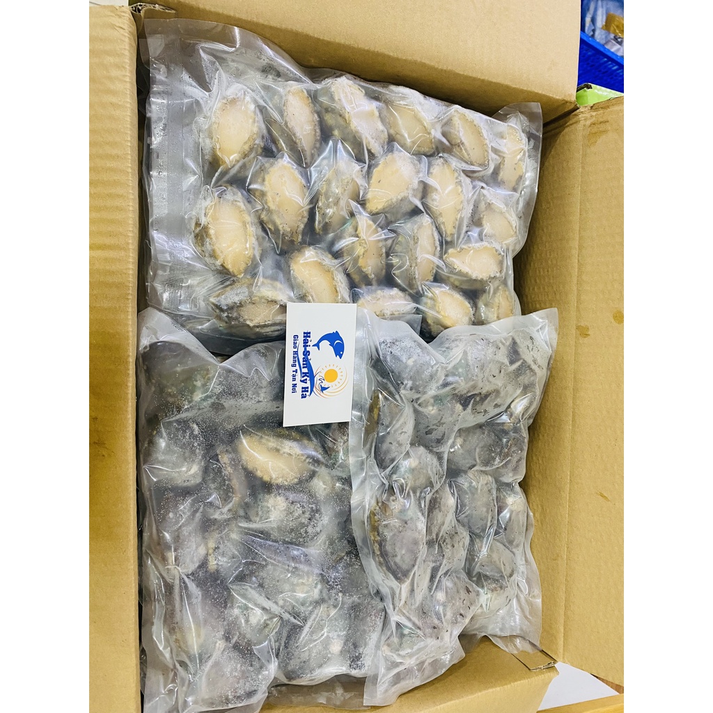 Giá sỉ -  Bào Ngư Abalone size 20con/1Kg