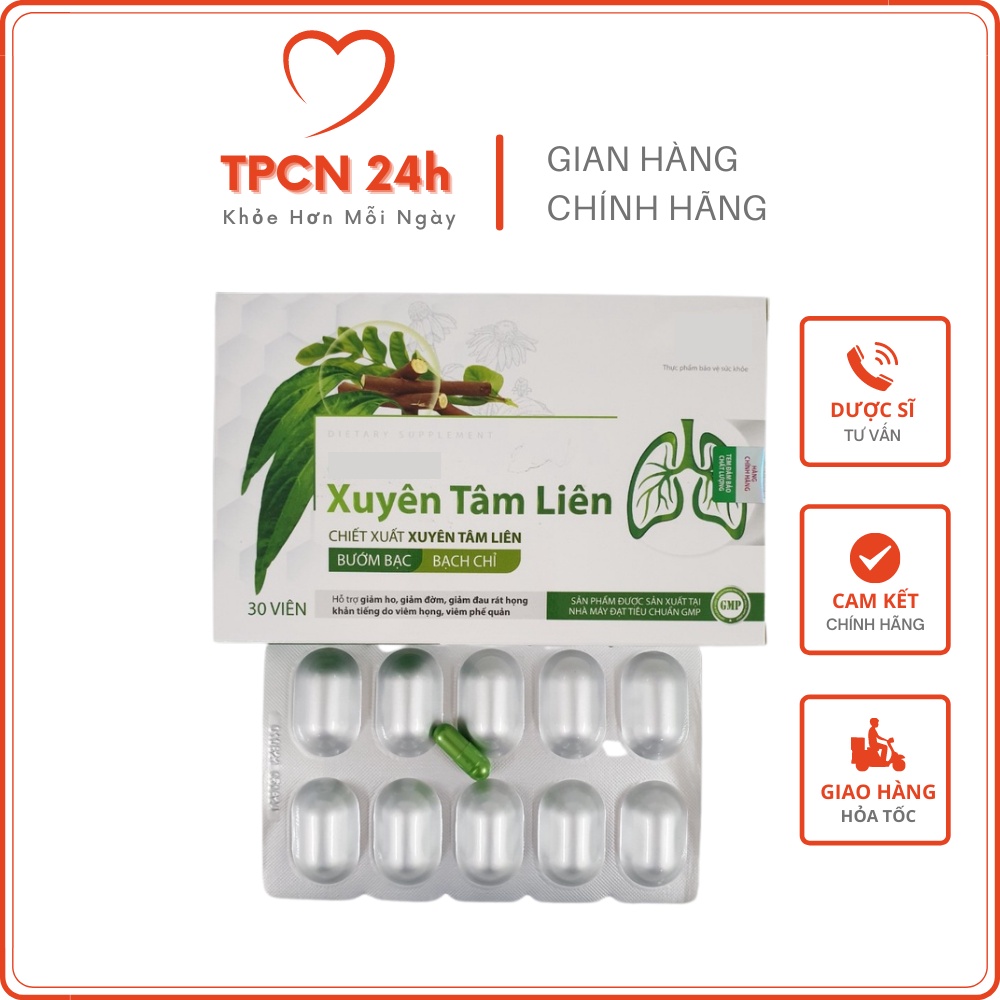 CP Xuyên Tâm Liên - Hỗ trợ giảm ho, đau họng, viem phế quản, tăng cường chức năng phổi