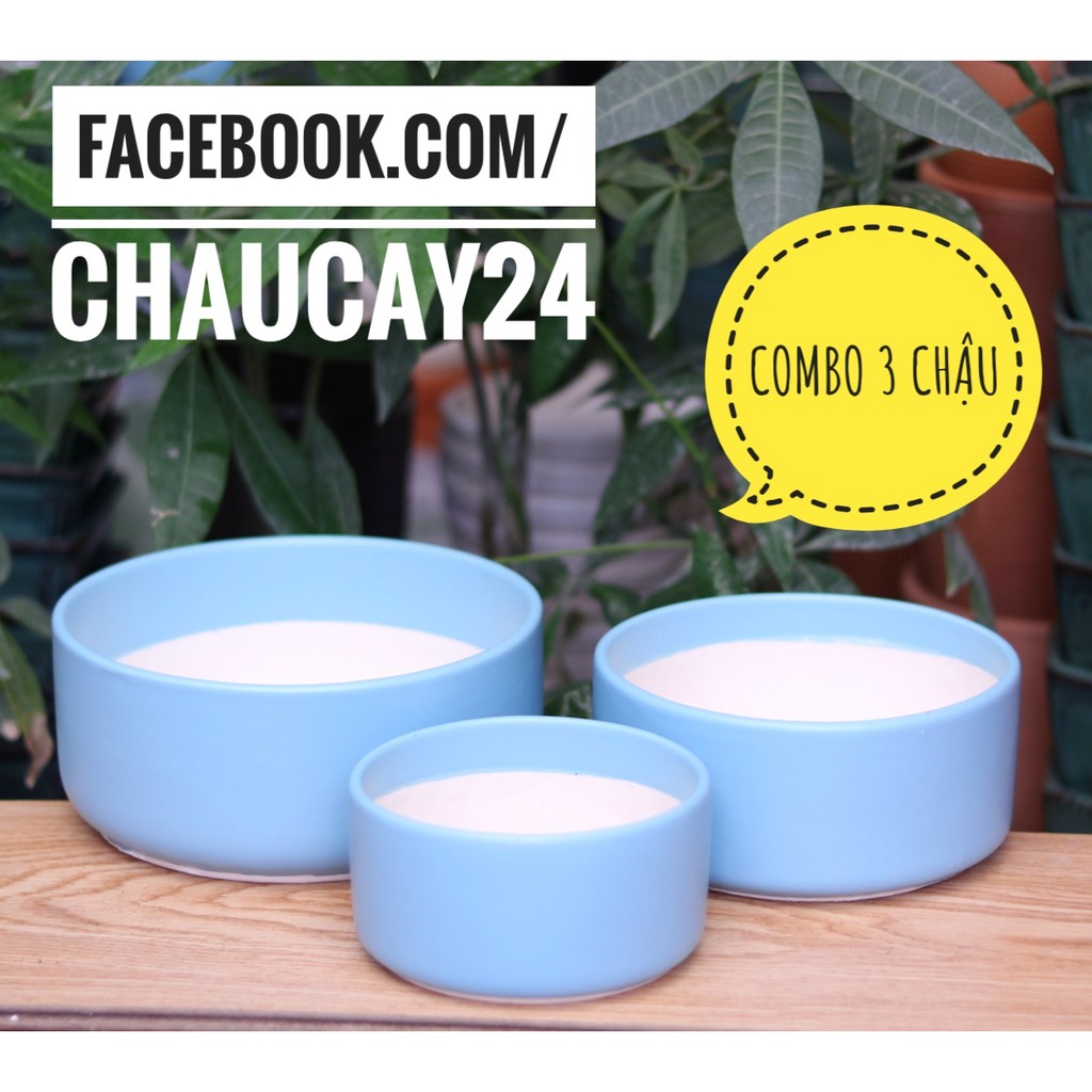 COMBO 3 Chậu Trụ Thấp Trồng Cây Cảnh Để Bàn, Sen Đá, Xương Rồng, Terrarium, cây hoa kiểng