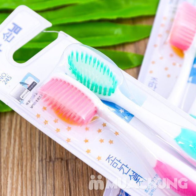 sỉ 1 xô bàn chải hàn quốc